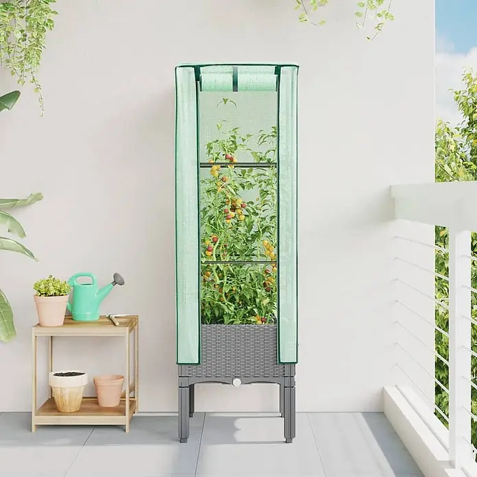 Furnicato Hochbeet Inklusive Gewächshaus-Aufsatz - 40 x 40 x 140 cm, Kunststoff, Hellgrau - Hoher grauer Rattan-Pflanzkübel mit hellgrüner, lichtdurchlässiger Abdeckung, Tomaten auf einem Balkon wachsend.