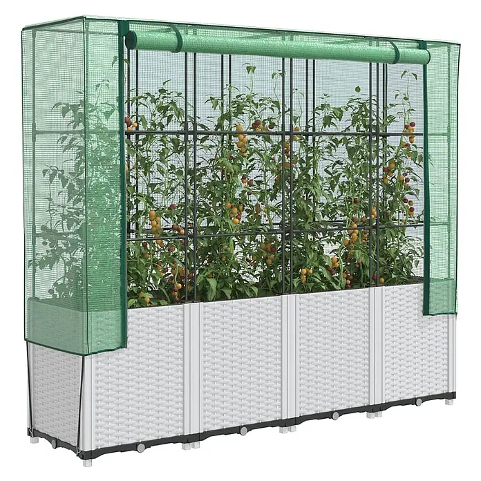 Furnicato Hochbeet Inklusive Gewächshaus-Aufsatz - 160 x 40 x 110 cm, Kunststoff, Weiß - Weißes Hochbeet in Rattan-Optik mit grünem Netz-Gewächshausüberzug, bepflanzt mit Tomaten.