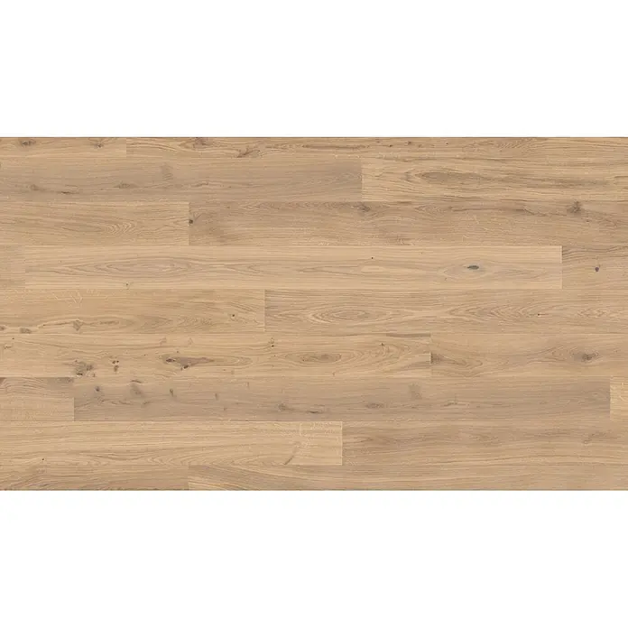 Living by Haro Parkett - Eiche Creme Naturöl, Landhausdiele, 2.200 x 180 x 12 mm - Helle Naturholz-Bodenpaneele mit Maserung und kleinen Ästen.