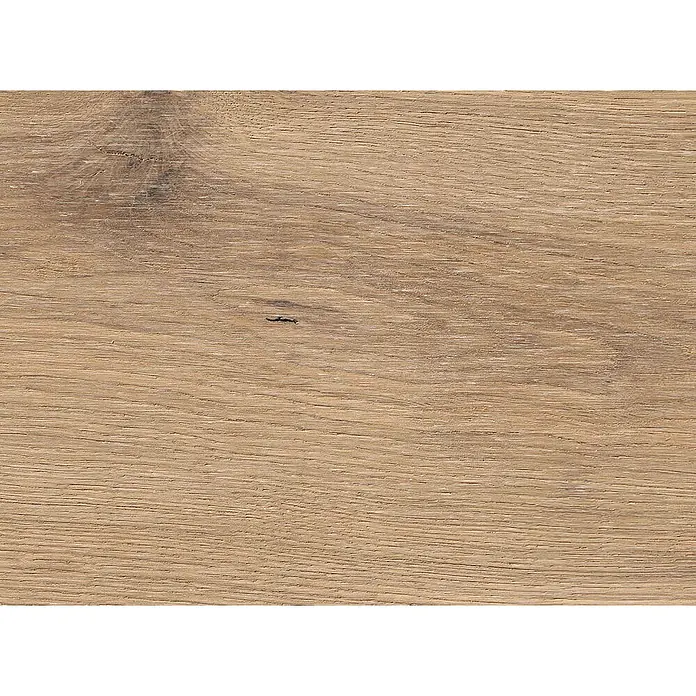 Living by Haro Parkett - Eiche Creme Naturöl, Landhausdiele, 2.200 x 180 x 12 mm - Helle Holzoberfläche mit natürlicher Maserung und kleinem dunklem Ast.