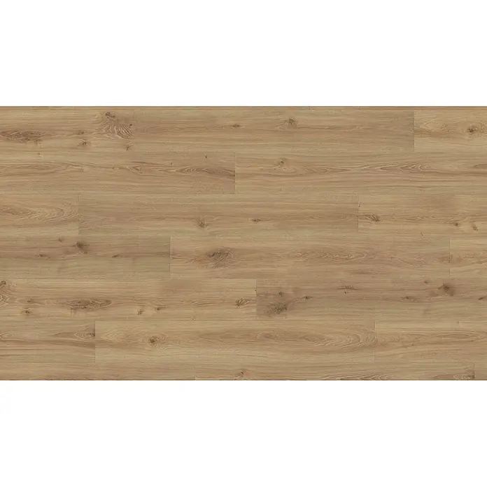 Living by Haro Laminat Sonderedition - Eiche Olbia, Landhausdiele, 1.282 x 193 x 7 mm - Hellebraune Holzfußbodendielen mit natürlicher Maserung und Ästen.