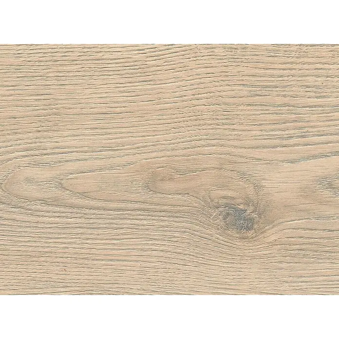 Living by Haro Laminat Gigante - Eiche Toronto steingrau, Landhausdiele, 2.200 x 243 x 8 mm - Helle Holzmaserung mit Ast, ideal für Bodenbeläge oder Möbeloberflächen.