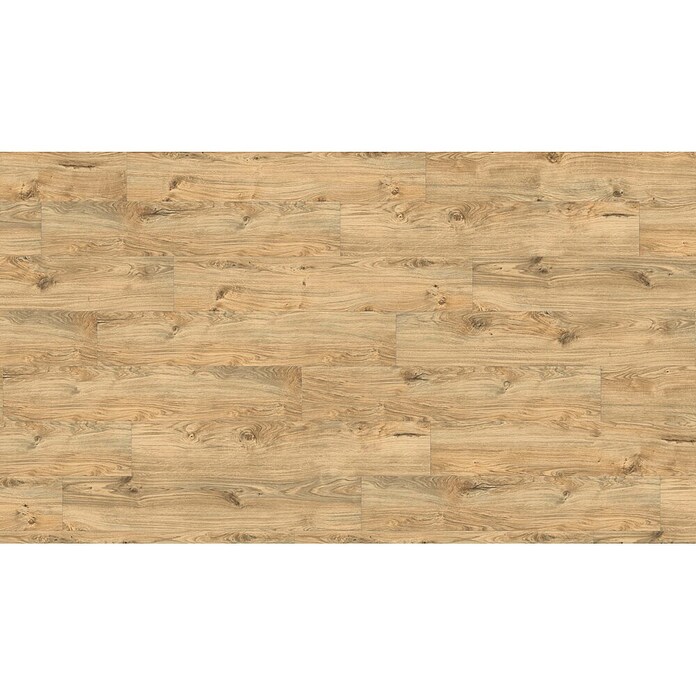 Living by Haro Hydrostar Designboden (Eiche Alba, Landhausdiele, 1 282 x 235 x 6,5 mm) | BAUHAUS