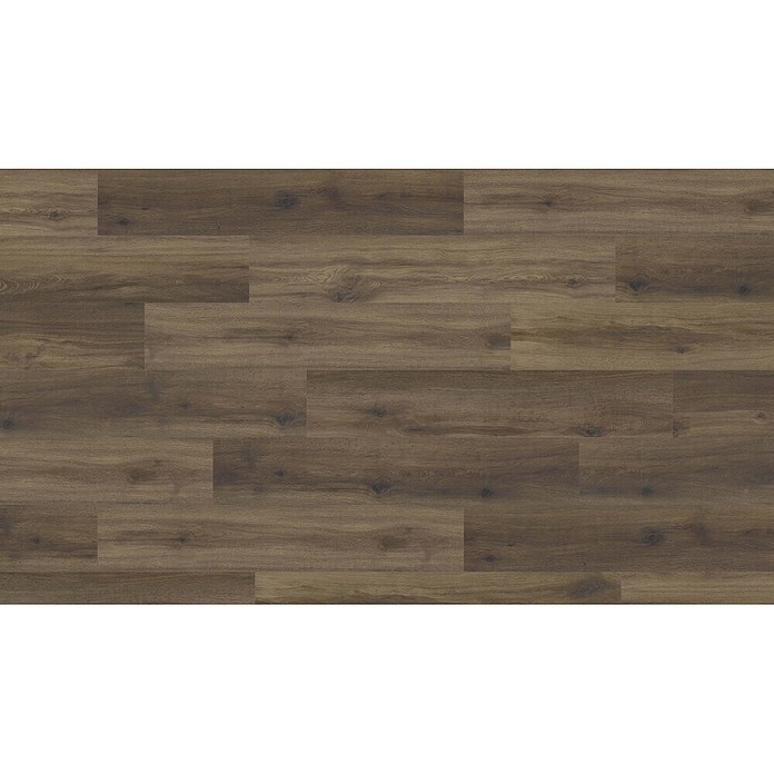 Living by Haro Hydrostar Designboden (Eiche Schokobraun, Landhausdiele, 1 282 x 235 x 6,5 mm) | BAUHAUS