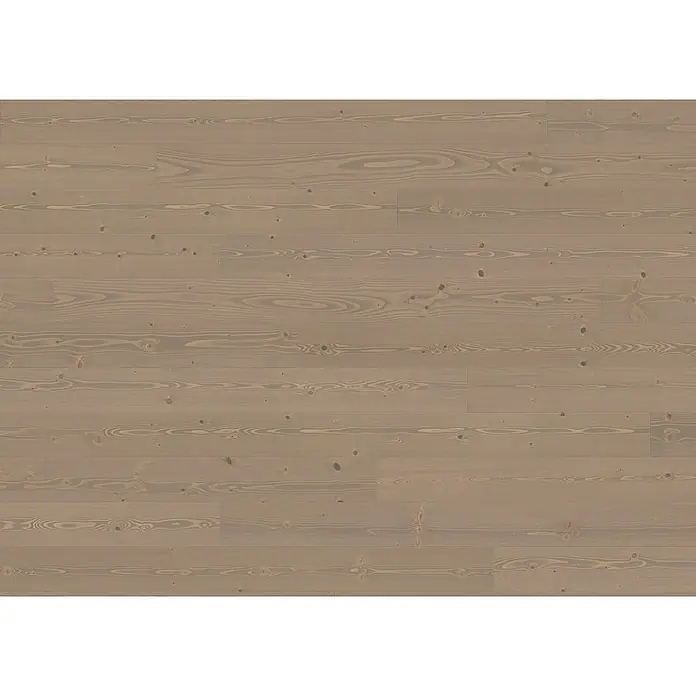 Living by Haro Parkett - Tanne pastell grau, Landhausdiele, 2.200 x 180 x 13,5 mm - Hellbraun-grauer Holzfußboden mit ausgeprägter Maserung und Ästen, aus langen Dielen bestehend.