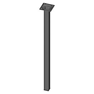 Element System Pata para muebles (L x An x Al: 2,5 x 2,5 x 50 cm, Capacidad de carga: 30 kg, Acero, Negro)
