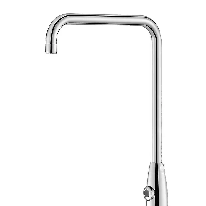 Delabie Spültischarmatur Delabie - Chrom - Eleganter verchromter Schwanenhals-Wasserhahn.