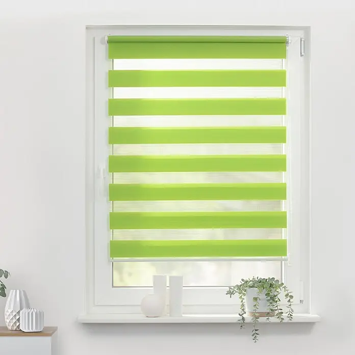 Lichtblick Doppelrollo -  - Grüne Duo-Jalousie mit abwechselnd transparenten und blickdichten Streifen im Fenster.