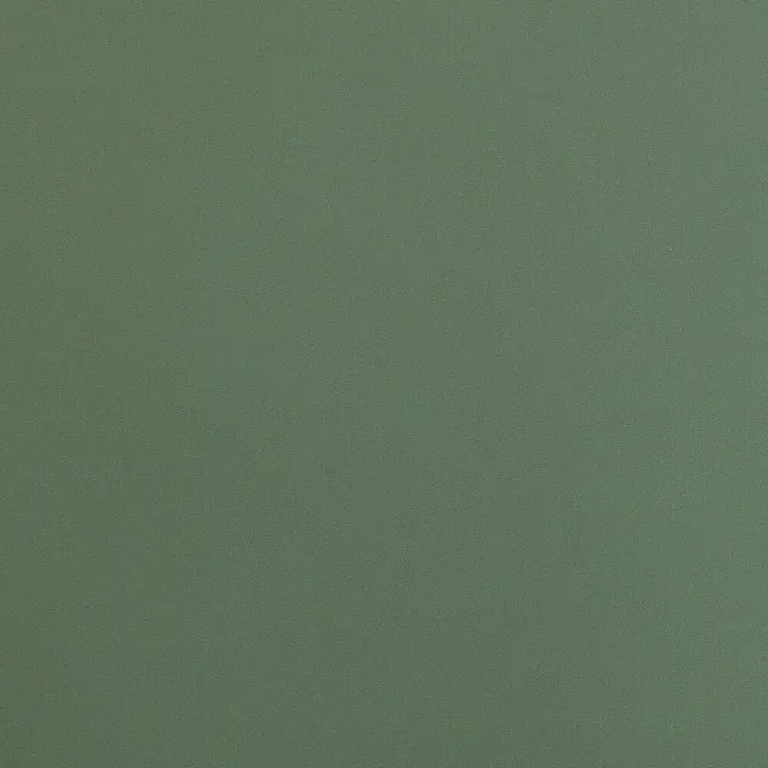Lichtblick Thermorollo - B x H: 70 x 220 cm, Salbei - Gedämpfter olivgrüner Stoff mit feiner Webstruktur.
