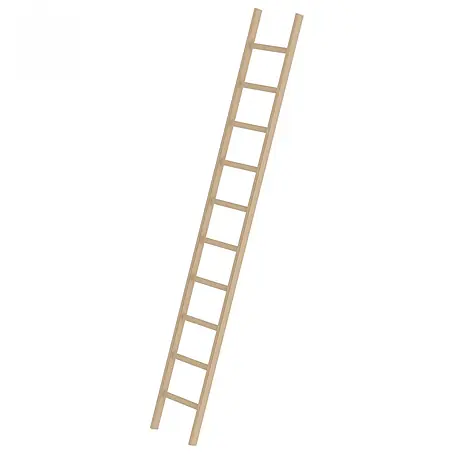 Munk  Anlegeleiter Holz-Anlegeleiter 10 Sprossen