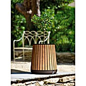 Keter Okrugla posuda za biljke Deco Conic  (Orah) | BAUHAUS