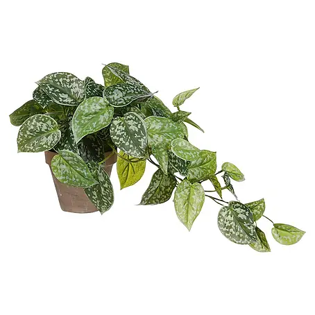 Kunstpflanze Scindapsus