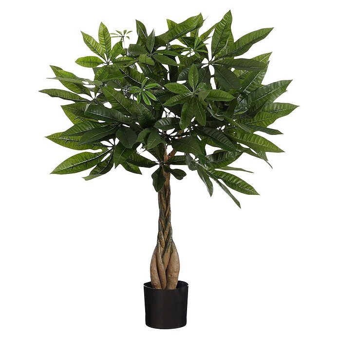 Umetna rastlina Pahira  (Višina: 60 cm, Plastika) | 8471 - Seidenblumen/Kunstpflanzen | IDDQ - Seidenblumen/Kunstpflanzen | IDD - Trendy | ID - Trendy | I - Stadtgarten | BAUHAUS