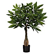 Umetna rastlina Pahira  (Višina: 60 cm, Plastika) | 8471 - Seidenblumen/Kunstpflanzen | IDDQ - Seidenblumen/Kunstpflanzen | IDD - Trendy | ID - Trendy | I - Stadtgarten | BAUHAUS