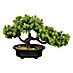 Umetna rastlina Bonsai 