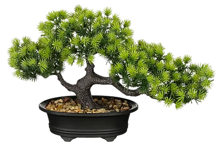 Kunstpflanze Bonsai - Hhe: 21 cm, Kunststoff online kaufen bei BAUHAUS