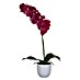 Kunstblume Phalaenopsis 