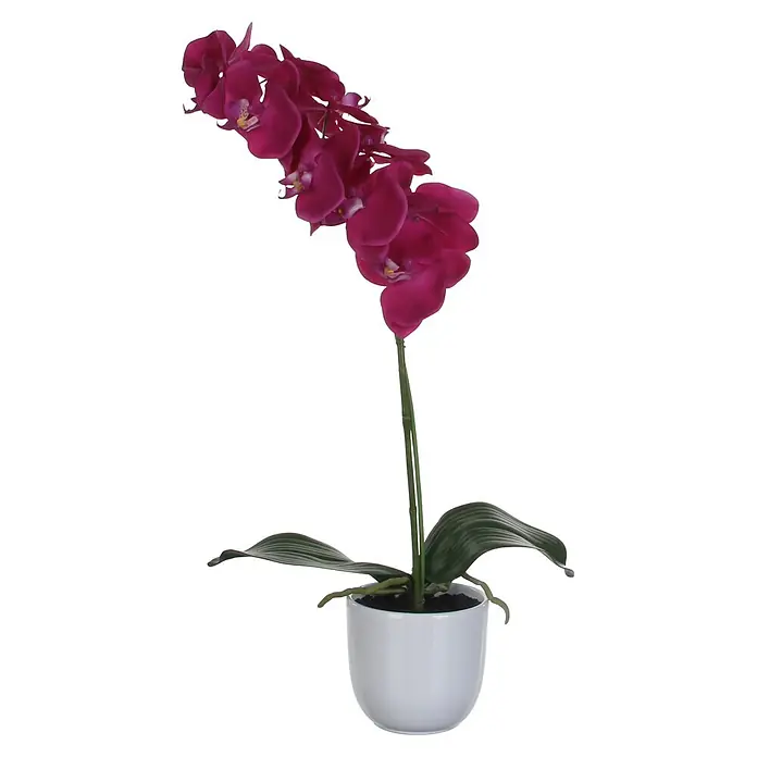 Kunstblume Phalaenopsis - Höhe: 60 cm, Blütenfarbe: Violett - Violette Orchideenpflanze mit grünen Blättern in einem weißen Topf.