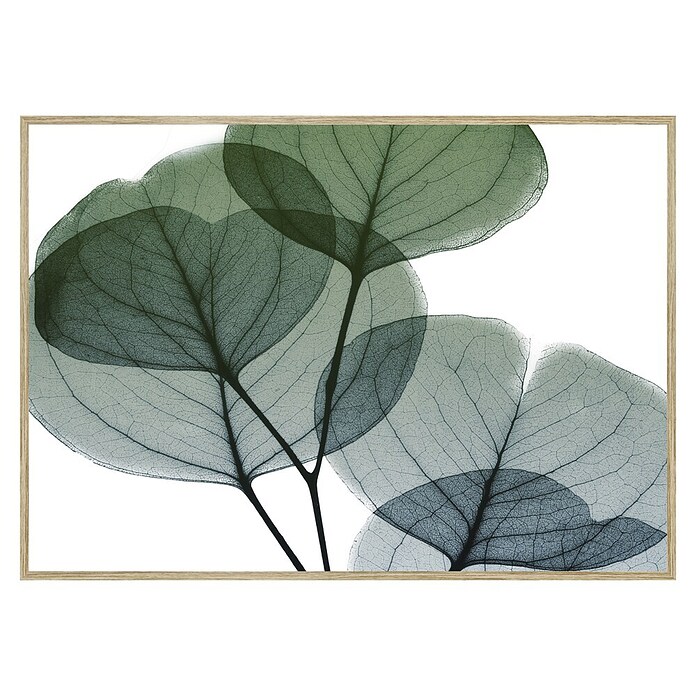 Armario de contadores Hojas verdes (Hojas, 50 x 35 cm, Verde/Blanco) | BAUHAUS