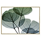 Armario de contadores Hojas verdes (Hojas, 50 x 35 cm, Verde/Blanco) | BAUHAUS