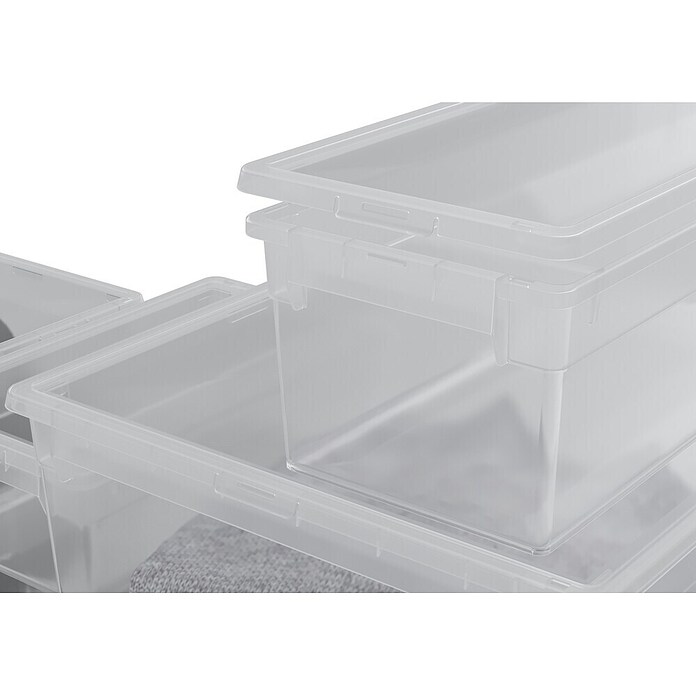 BAUHAUS Caja de almacenaje Light Box (L x An x Al: 39,6 x 57,8 x 18,5 cm, Plástico, Transparente, 36 l) | BAUHAUS
