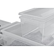 BAUHAUS Caja de almacenaje Light Box (L x An x Al: 39,6 x 57,8 x 18,5 cm, Plástico, Transparente, 36 l) | BAUHAUS