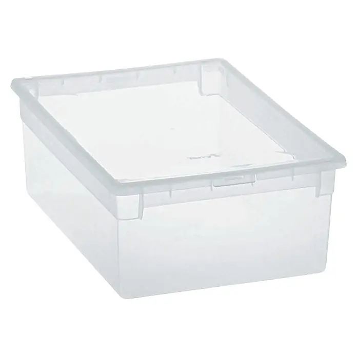 BAUHAUS Caja de almacenaje Light Box - L x An x Al: 39,6 x 27,8 x 13,2 cm, Plástico, Transparente, 12 l - Caja de almacenamiento de plástico transparente con tapa.