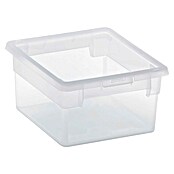 BAUHAUS Caja de almacenaje Light Box (L x An x Al: 20,4 x 17,8 x 10 cm, Plástico, Transparente, 2,5 l) | BAUHAUS