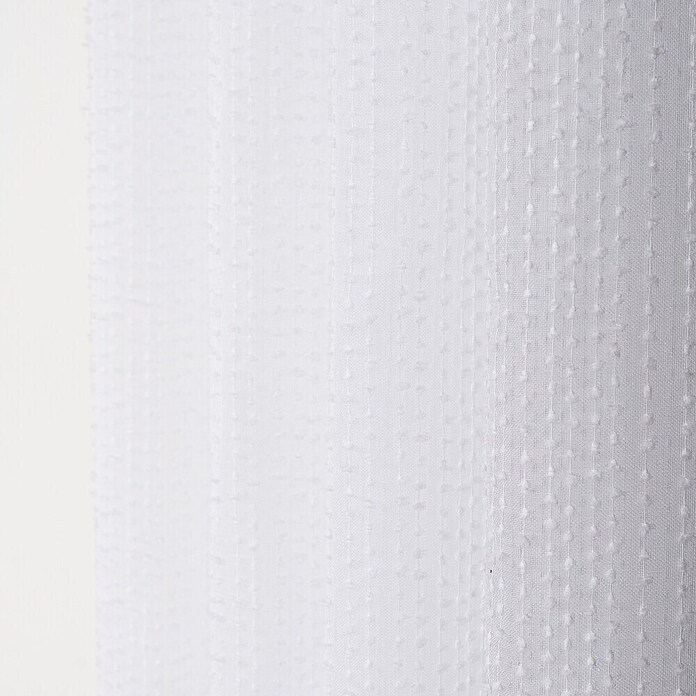 Visillo para ventana Trevi (An x Al: 140 x 240 cm, 100% poliéster, Blanco) | BAUHAUS