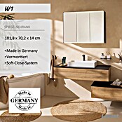 Lanzet Dune LED-Spiegelschrank W1 (B x H: 101,8 x 70,2 cm, Holz, Schwarz) | BAUHAUS
