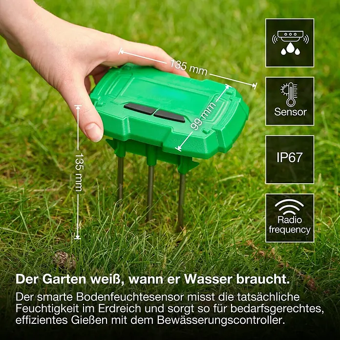 Osram Smart+ Bodenfeuchtesensor - Grün - Hand setzt grünen smarten Bodenfeuchtesensor mit drei Sonden in Rasen ein. Misst die Bodenfeuchtigkeit.