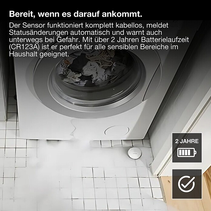 Ledvance Smart+ WiFi Wassermelder (Anwendungsbereich: Innen, Passend für: Google Home) | BAUHAUS