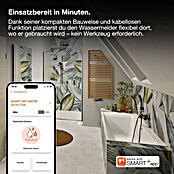 Ledvance Smart+ WiFi Wassermelder (Anwendungsbereich: Innen, Passend für: Google Home) | BAUHAUS