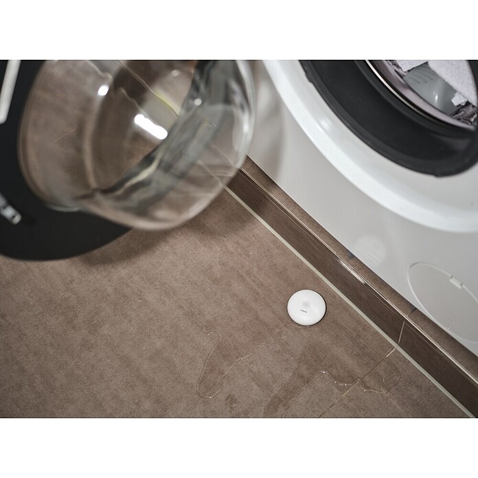Ledvance Smart+ WiFi Wassermelder (Anwendungsbereich: Innen, Passend für: Google Home) | BAUHAUS