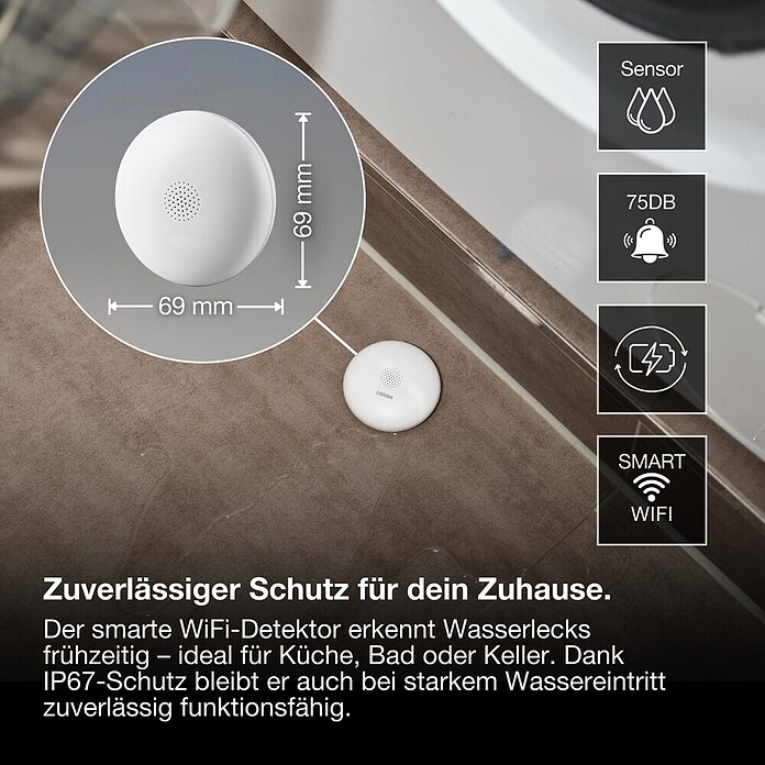 Ledvance Smart+ WiFi Wassermelder (Anwendungsbereich: Innen, Passend für: Google Home) | BAUHAUS