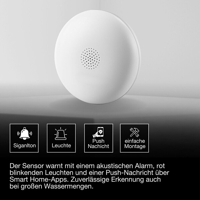 Ledvance Smart+ WiFi Wassermelder (Anwendungsbereich: Innen, Passend für: Google Home) | BAUHAUS