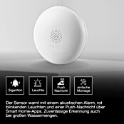 Ledvance Smart+ WiFi Wassermelder (Anwendungsbereich: Innen, Passend für: Google Home) | BAUHAUS
