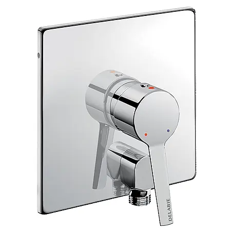 Delabie  UP-Brausearmatur Delabie Brausearmatur UP dicht m. Anschlussbogen, Teil 2/2 (+254CBOX)