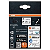 Osram Smart-Steckdose mit Deckel matter (Außen, IP44, Schwarz, 16 A, 1 Stk.) | BAUHAUS