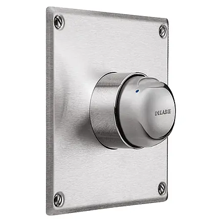 Delabie TEMPOMIX Selbstschluss-Duscharmatur G1/2B D14 UP mit Edelstahl-Abdeckplatte 160 x 160