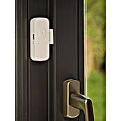 Ledvance Smart+ WiFi Funk-Fensterkontakt (Weiß, 3,1 x 2,4 x 7,2 cm) | BAUHAUS