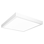 Ledvance LED-Deckenleuchte (22 W, L x B x H: 40 x 40 x 3,7 cm, Mehrfarbig) | BAUHAUS