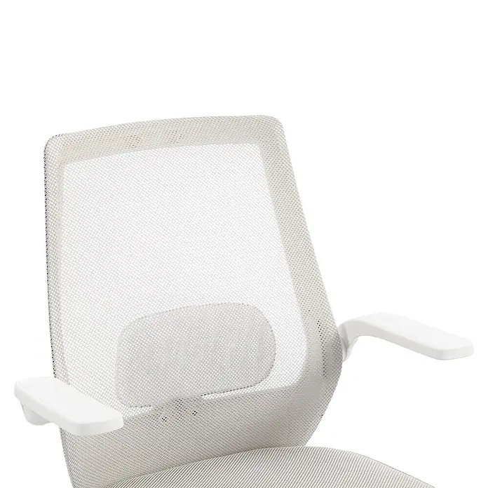 Silla de oficina Olivia - Gris/Blanco, Reposabrazos - Respaldo de silla de oficina de malla blanca con soporte lumbar integrado y reposabrazos.