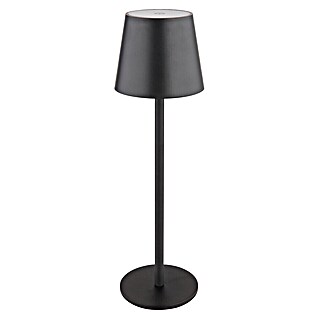 Globo Akumulatorska namizna svetilka Vannie (Ø x V: 10,6 x 36 cm, Toplo bela, 3 W, IP44)