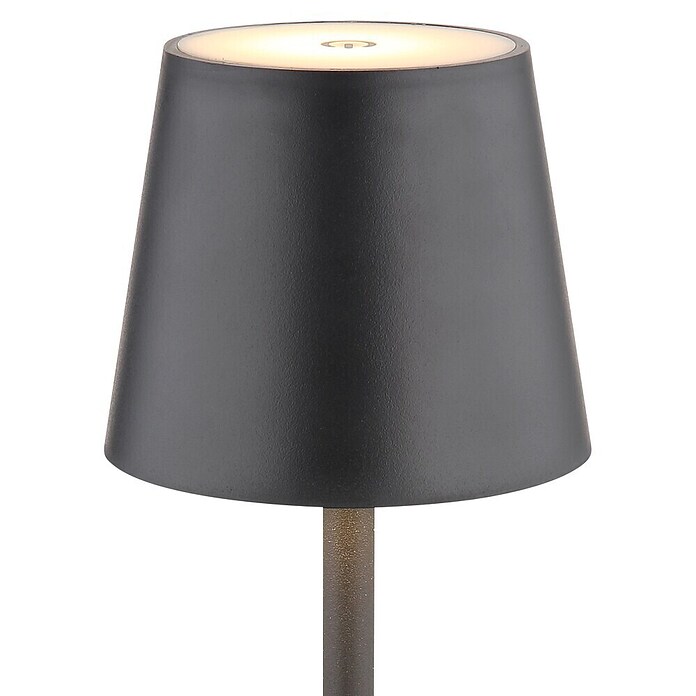 Globo Akumulatorska namizna svetilka Vannie  (Ø x V: 10,6 x 36 cm, Toplo bela, 3 W, IP44) | 3111 - Akkuleuchte dekorativ | CAJB - Outdoorleuchten Akku | CAJ - Outdoorleuchten | CA - Beleuchtung | C - Elektro | BAUHAUS