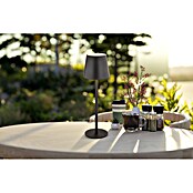 Globo Akumulatorska namizna svetilka Vannie  (Ø x V: 10,6 x 36 cm, Toplo bela, 3 W, IP44) | 3111 - Akkuleuchte dekorativ | CAJB - Outdoorleuchten Akku | CAJ - Outdoorleuchten | CA - Beleuchtung | C - Elektro | BAUHAUS