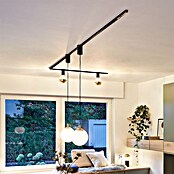 Paulmann URail End-Einspeisung (16,1 cm, 1 000 W, Schwarz) | BAUHAUS