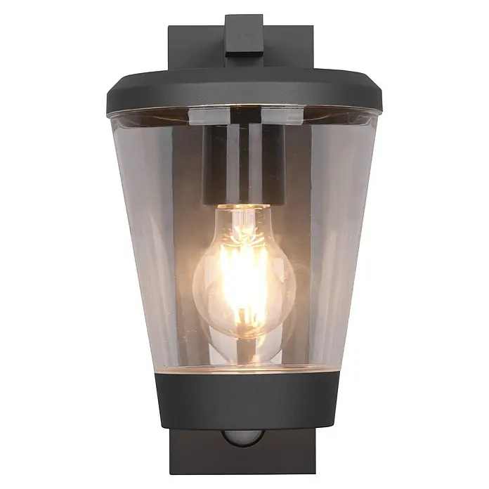 Trio Leuchten Sensor-Außenleuchte CAVADO - 40 W, L x B x H: 23 x 16 x 28 cm, Grau, IP44 - Schwarze Außenwandleuchte mit klarem Schirm, leuchtender Glühbirne und Bewegungssensor.