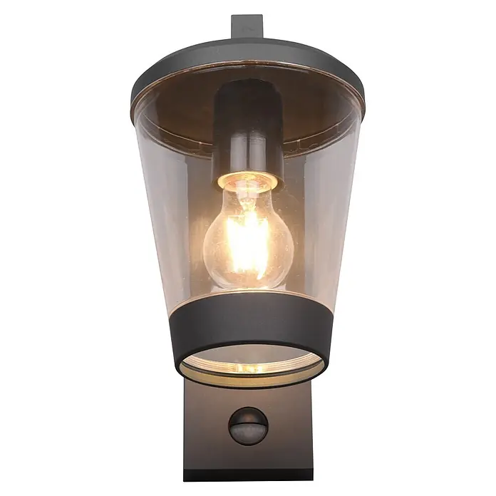 Trio Leuchten Sensor-Außenleuchte CAVADO - 40 W, L x B x H: 23 x 16 x 28 cm, Grau, IP44 - Dunkelgraue Außenwandleuchte mit Klarglas, warmer Glühbirne und integriertem Bewegungssensor.