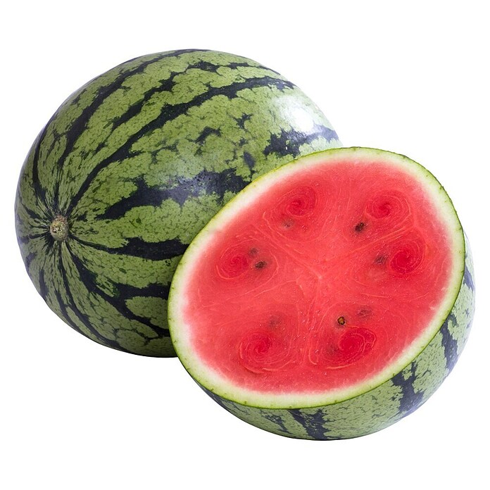 Piardino Wassermelone (Citrullus lanatus, Topfgröße: 14 cm) | BAUHAUS